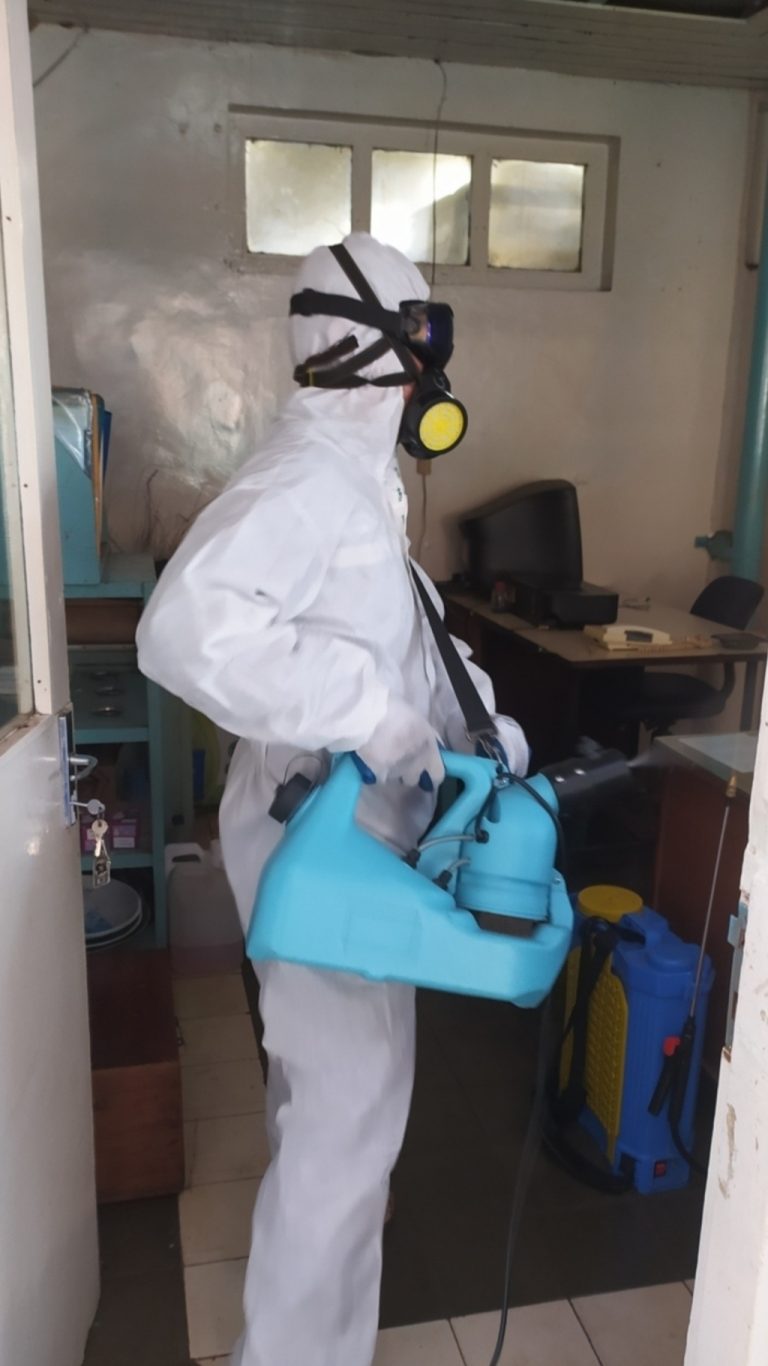pest control semarang